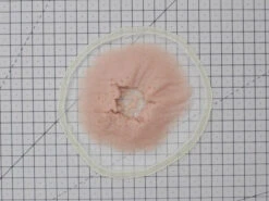 FROM LIFE - Bird Shot(From Life Bird Shot) -TILT Makeup BirdShotPeachy