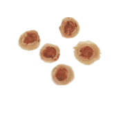 Bullet Holes 5 Pcs (2cm Each)(Bullet Holes 5 Pcs 2cm Each)