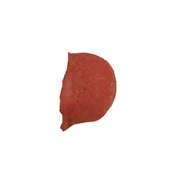 Clown Nose Small –RED(Clown Nose Small Red)