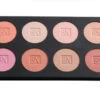Ben Nye -Fashion Rouge Palette - 8 Colours(Fashion Rouge Palette 8 Colours) 1 Ben Nye -Fashion Rouge Palette - 8 Colours(Fashion Rouge Palette 8 Colours) -TILT Makeup ESP922 STRAIGHT J