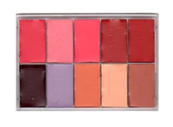 MAQPRO - Slim Fard Creme Complexion Palette(Tilt By Maqpro Slim Fard Creme Complexion Palette)