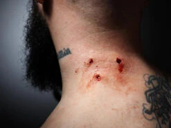 FROM LIFE - 3 Shot SMG(From Life 3 Shot Smg) -TILT Makeup Sangeet 09.10.17 0153 R