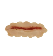 Small Scar (6cm)(Small Scar 6cm)