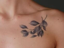 TWILIGHT CREATIONS CLASSIC TATTOOS - Rose(Twilight Creations Classic Tattoos Rose) -TILT Makeup TC Rose 01 800x800 e7dcb4ad 1037 4fc3 9d5f abf750539f72