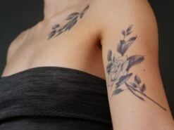 TWILIGHT CREATIONS CLASSIC TATTOOS - Rose(Twilight Creations Classic Tattoos Rose) -TILT Makeup TC Rose 02 800x800 79e05ede f98f 4339 8f01 0cf453f3f58c