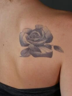 TWILIGHT CREATIONS CLASSIC TATTOOS - Rose(Twilight Creations Classic Tattoos Rose) -TILT Makeup TC Rose 03 800x800 800x800 f11d4ec8 c0d9 4a3c a444 ef582035c099