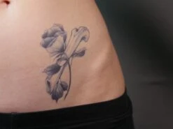 TWILIGHT CREATIONS CLASSIC TATTOOS - Rose(Twilight Creations Classic Tattoos Rose) -TILT Makeup TC Rose 04 800x800 10dd6140 0434 44a8 9d3c 300df6e9de88