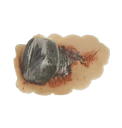 Wound With Screw (7cm)(Wound With Screw 7cm)