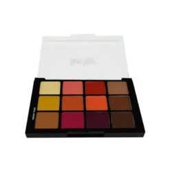 Ben Nye Studio Colors Creme - Medium/Dark Blush & Contour Palette(Ben Nye Studio Colors Creme Medium Dark Blush Contour Palette)