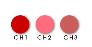 **SALE** Paris Berlin Chic To Cheeks(Paris Berlin Chic To Cheeks) 4 **SALE** Paris Berlin Chic To Cheeks(Paris Berlin Chic To Cheeks) - Image 2