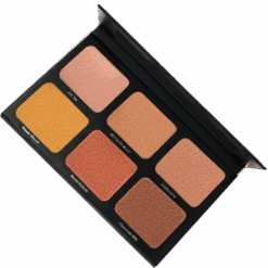 Danessa Myricks Light Work Palette -II(Danessa Myricks Light Work Palette Ii)