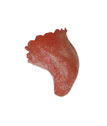 Devil Chin(Devil Chin)