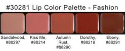 Graftobian - HD Lip Color Palette - Fashion Shades(Graftobian Hd Lip Color Palette Fashion Shades)