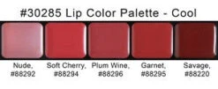 Graftobian - HD Lip Color Palette - Cool Shades(Graftobian Hd Lip Color Palette Cool Shades)