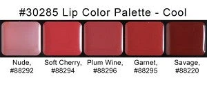 Graftobian - HD Lip Color Palette - Cool Shades(Graftobian Hd Lip Color Palette Cool Shades) 3 Graftobian - HD Lip Color Palette - Cool Shades(Graftobian Hd Lip Color Palette Cool Shades)