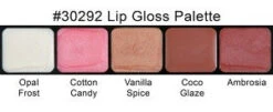 Graftobian - Lip Gloss Palette - Super Satin Gloss(Graftobian Lip Gloss Palette Super Satin Gloss)