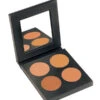 Graftobian - Vitale Shimmer Bronzer Palette(Graftobian Vitale Shimmer Bronzer Palette) 1 Graftobian - Vitale Shimmer Bronzer Palette(Graftobian Vitale Shimmer Bronzer Palette) -TILT Makeup graftobian shimmer bronze palettea