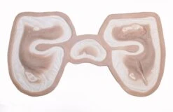 Jess FX - Appliances - Zombie(Jess Fx Appliances Zombie) -TILT Makeup https i.etsystatic.com 18592277 r il 4dde3c 4694648330 il fullxfull.4694648330 r5ru