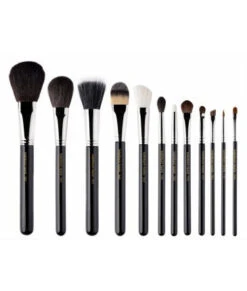 BdelliumMaestro Complete 12pc. Brush Set With Roll-up Pouch(Bdellium Maestro Complete 12pc Brush Set With Roll Up Pouch) 11 BdelliumMaestro Complete 12pc. Brush Set With Roll-up Pouch(Bdellium Maestro Complete 12pc Brush Set With Roll Up Pouch) -TILT Makeup maestro12pcset2